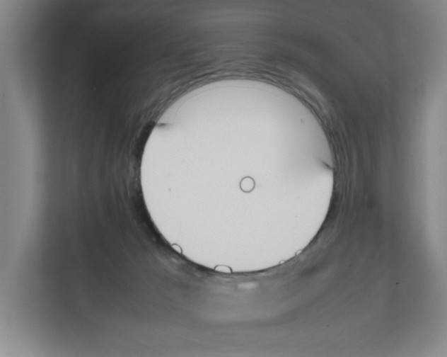X0000111450029200908101043