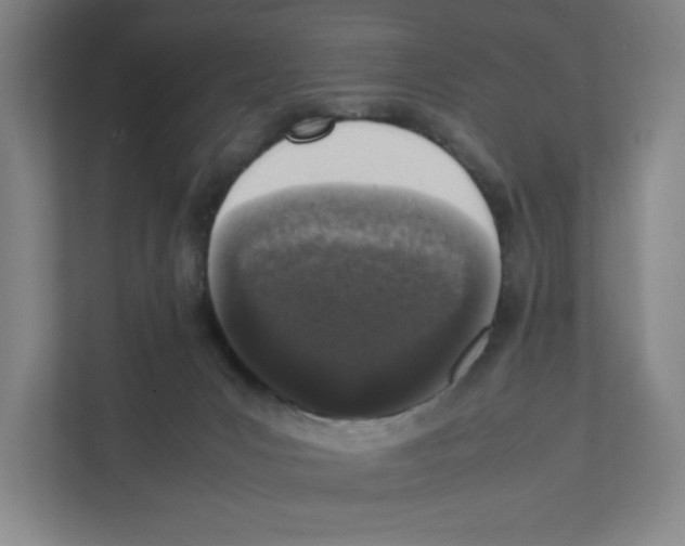 X0000111450031200908101043