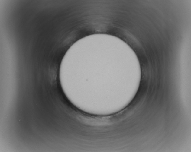 X0000111450032200908101043