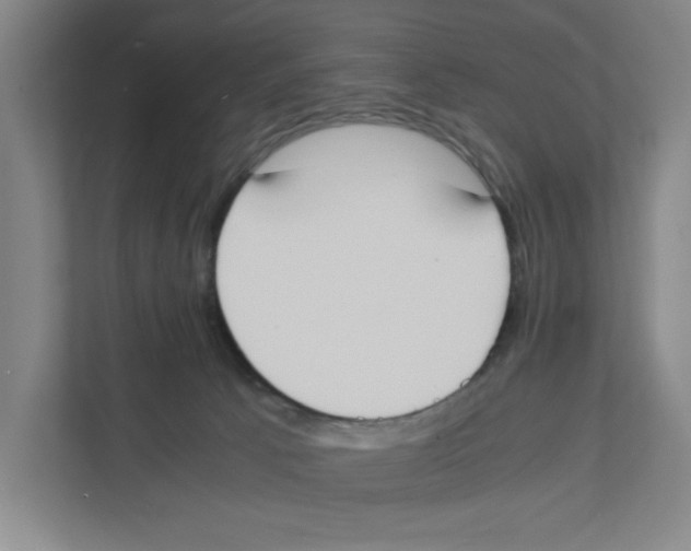 X0000111450033200908101043