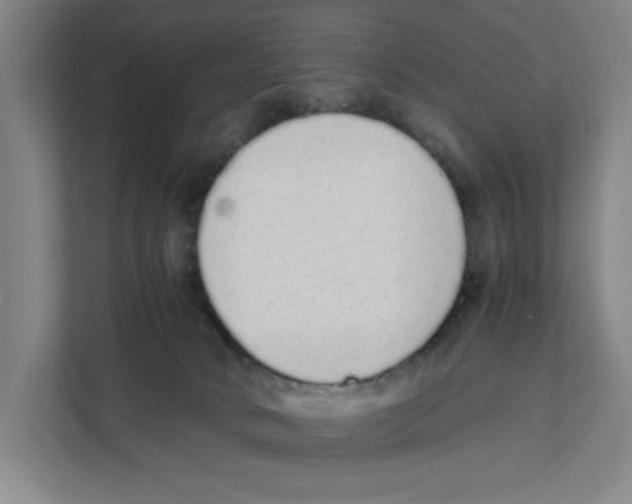 X0000111450034200908101043