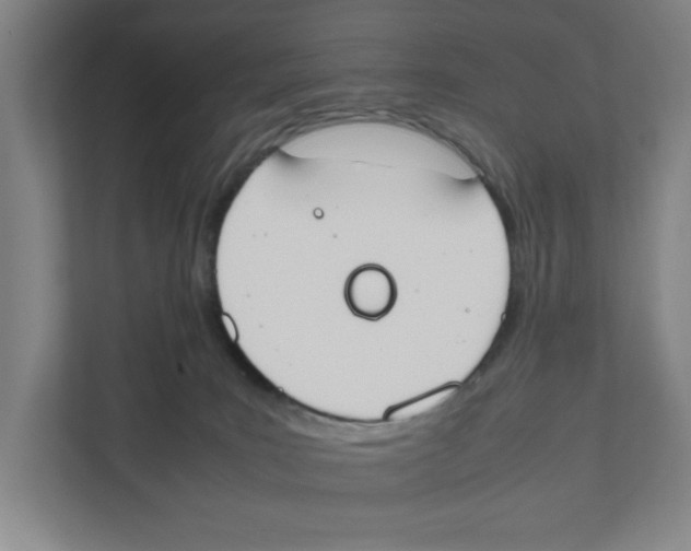 X0000111450035200908101043
