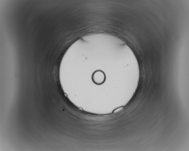 X0000111450036200908101043