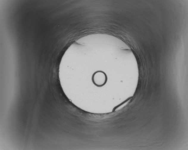 X0000111450037200908101043