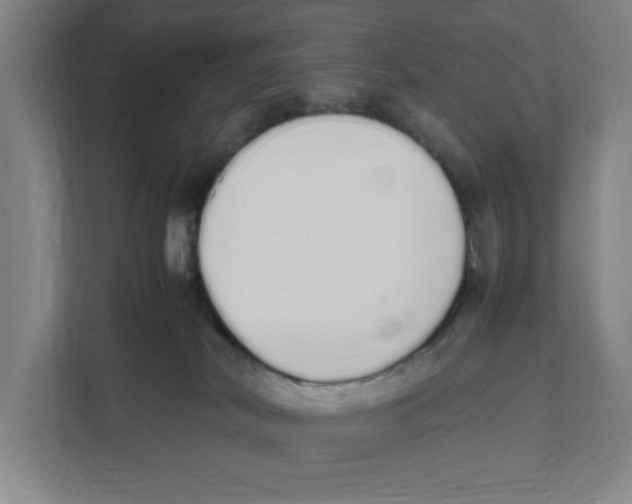 X0000111450038200908101043