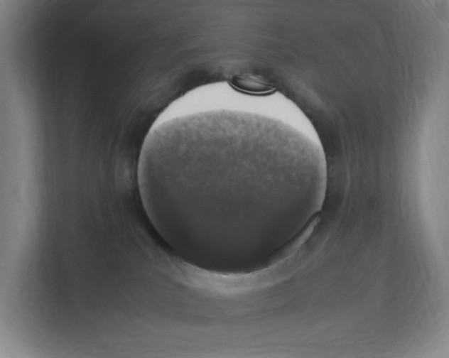X0000111450039200908101043