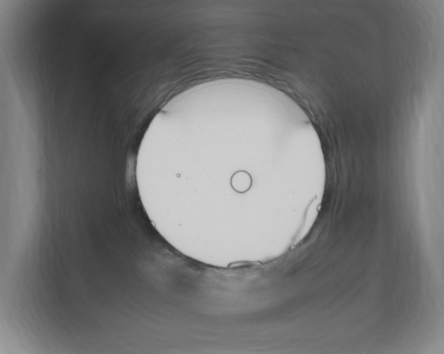 X0000111450041200908101043