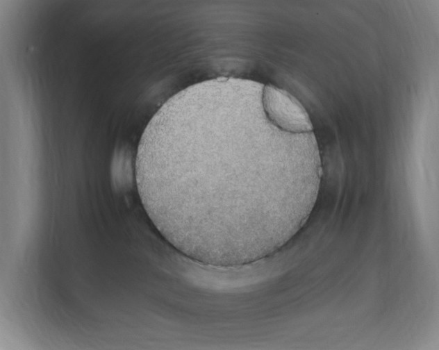 X0000111450042200908101043