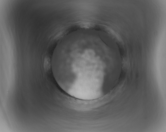 X0000111450043200908101043