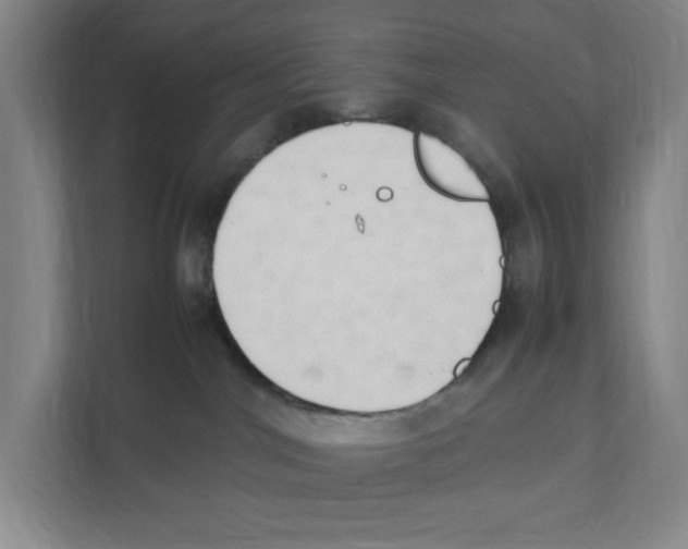 X0000111450044200908101043