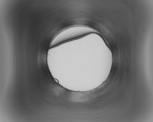 X0000111450045200908101043