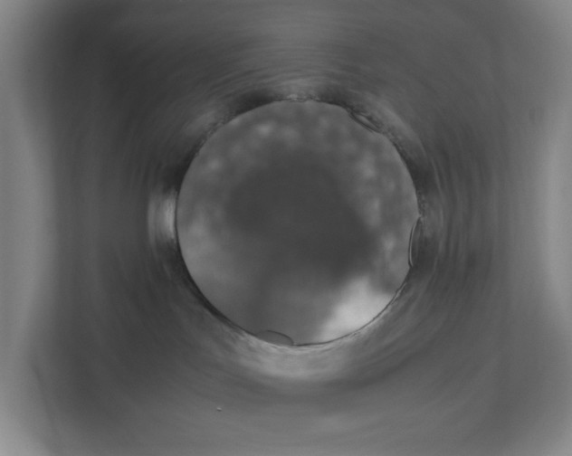 X0000111450047200908101043