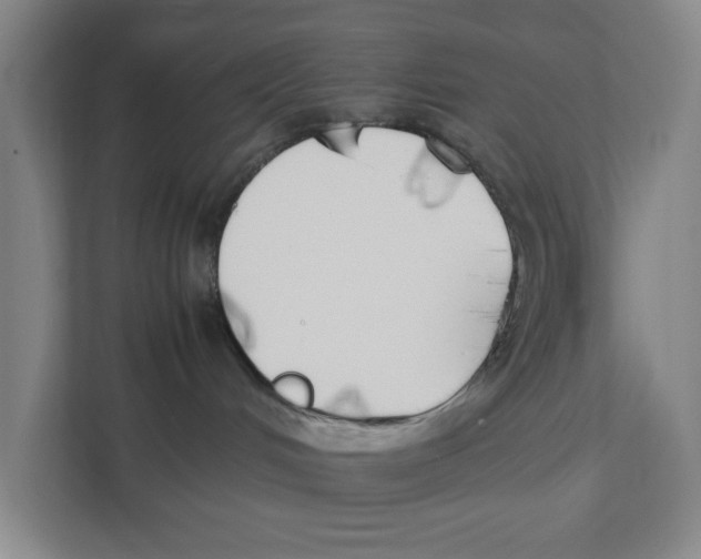 X0000111450048200908101043