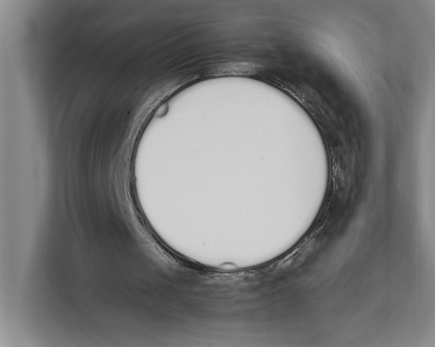 X0000111450049200908101042