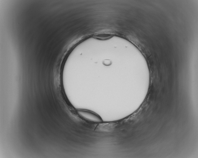 X0000111450050200908101042