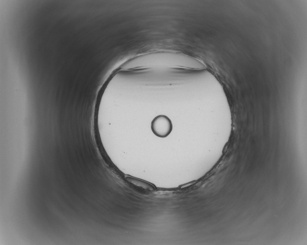 X0000111450052200908101042