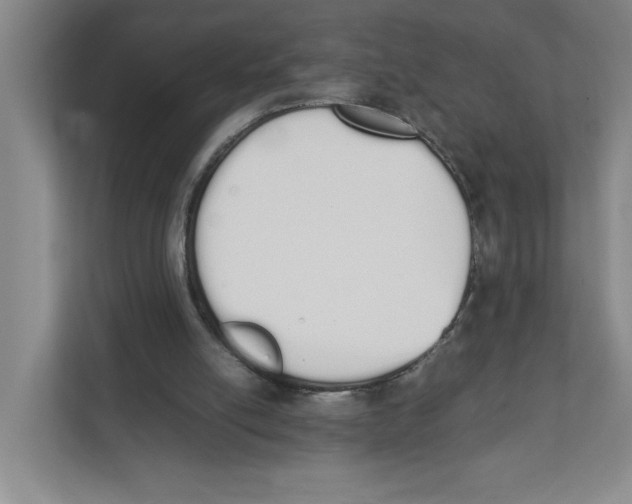 X0000111450054200908101043