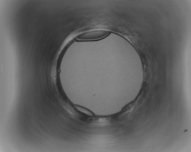 X0000111450056200908101043