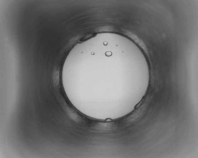 X0000111450057200908101043