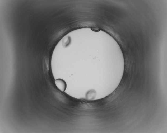X0000111450062200908101043