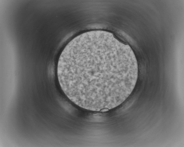 X0000111450064200908101043