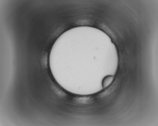X0000111450065200908101043