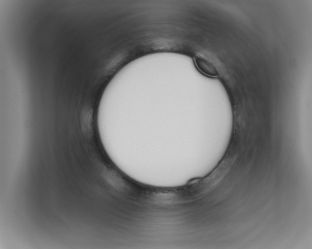X0000111450066200908101043