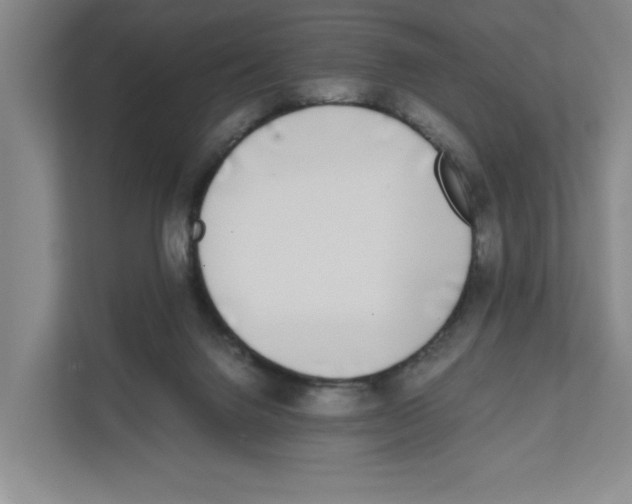 X0000111450072200908101043