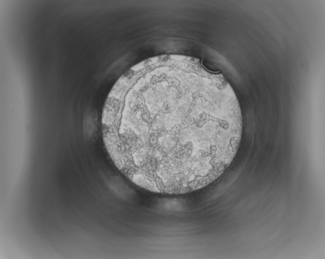 X0000111450073200908101043