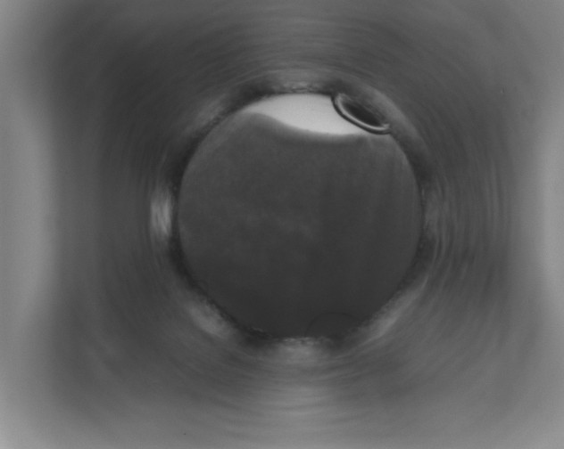 X0000111450076200908101043