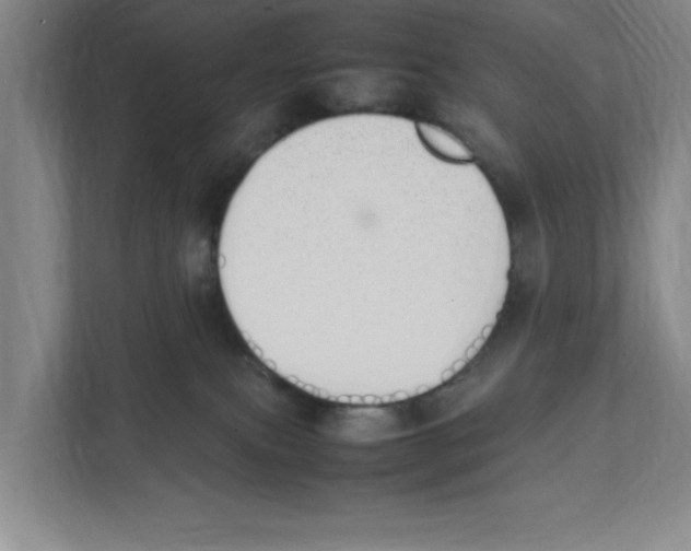 X0000111450087200908101043