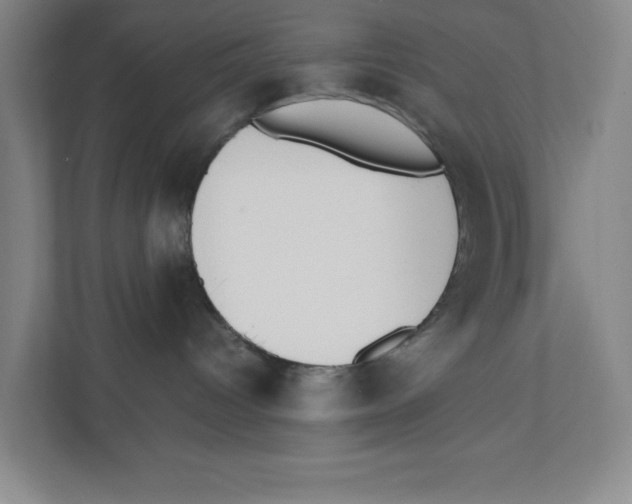 X0000111450096200908101043