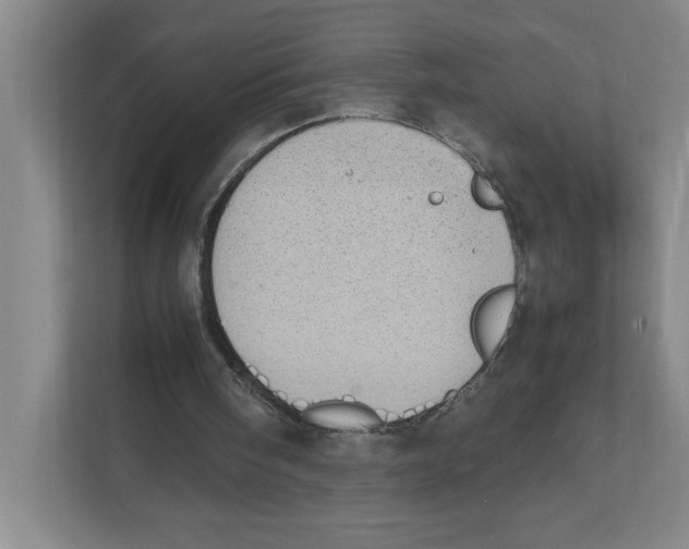X0000111450098200908101042