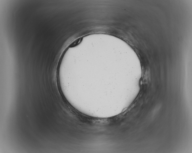X0000111450099200908101042