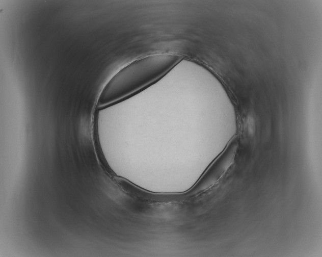 X0000111450100200908101042