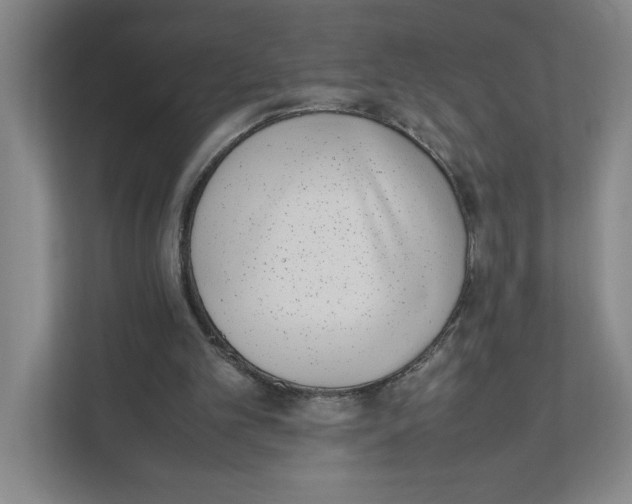 X0000111450101200908101042