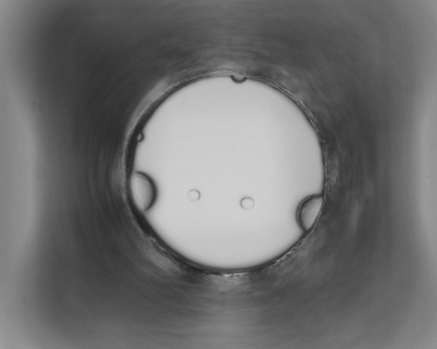 X0000111450102200908101042