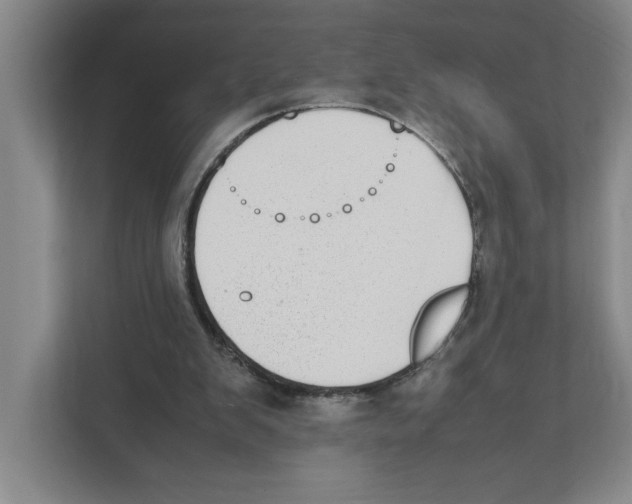 X0000111450103200908101042