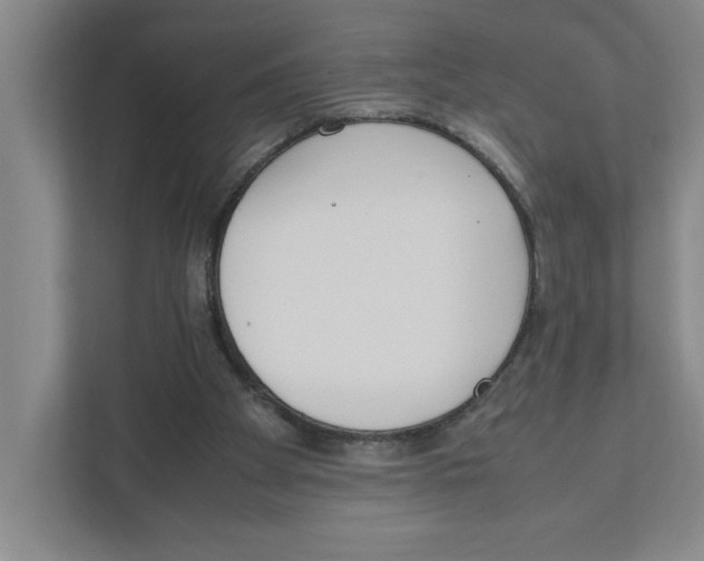 X0000111450105200908101042