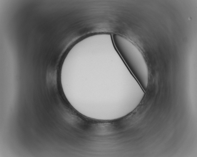 X0000111450108200908101042