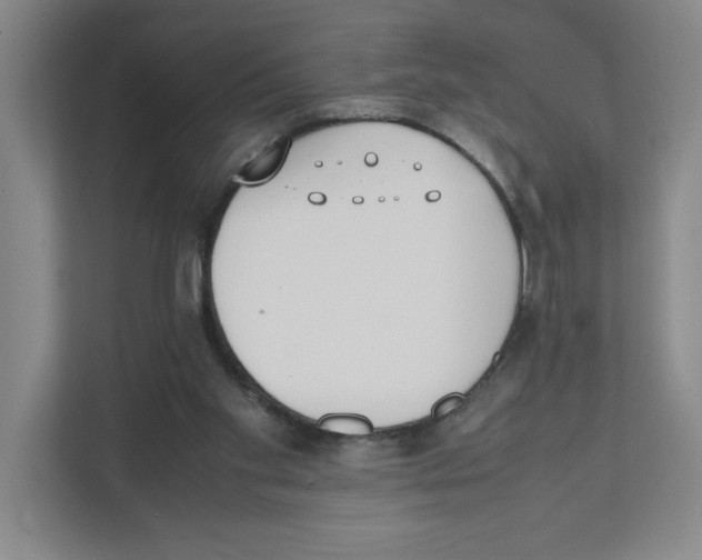 X0000111450109200908101042