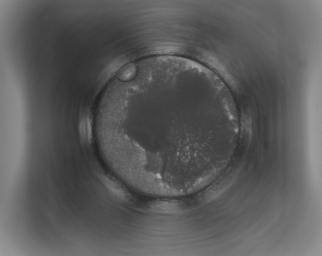 X0000111450110200908101042