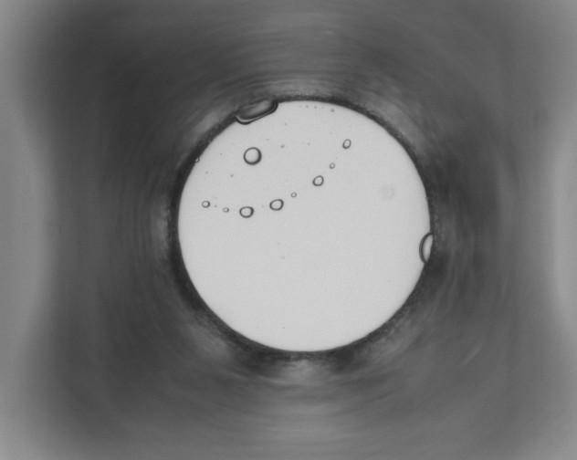 X0000111450111200908101042