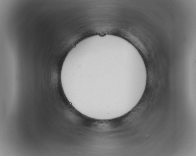 X0000111450113200908101042