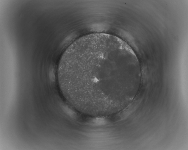 X0000111450114200908101042
