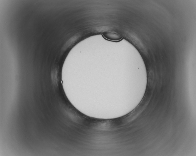 X0000111450116200908101042