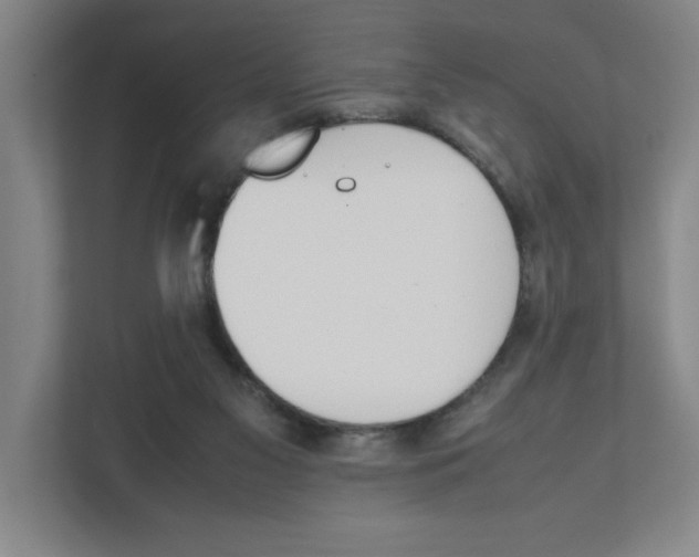 X0000111450117200908101042