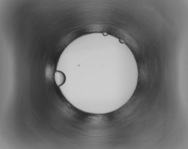 X0000111450118200908101042
