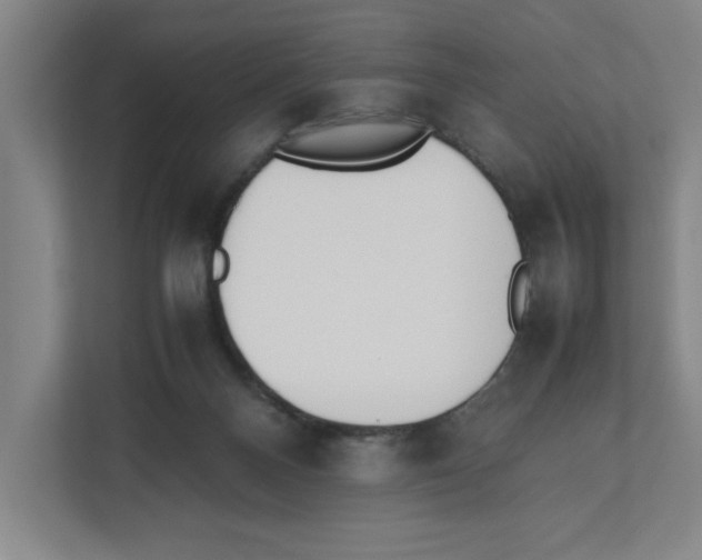 X0000111450120200908101042