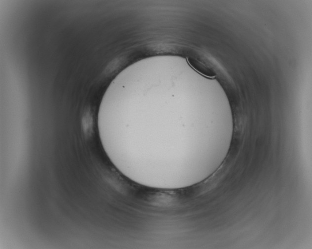 X0000111450124200908101042